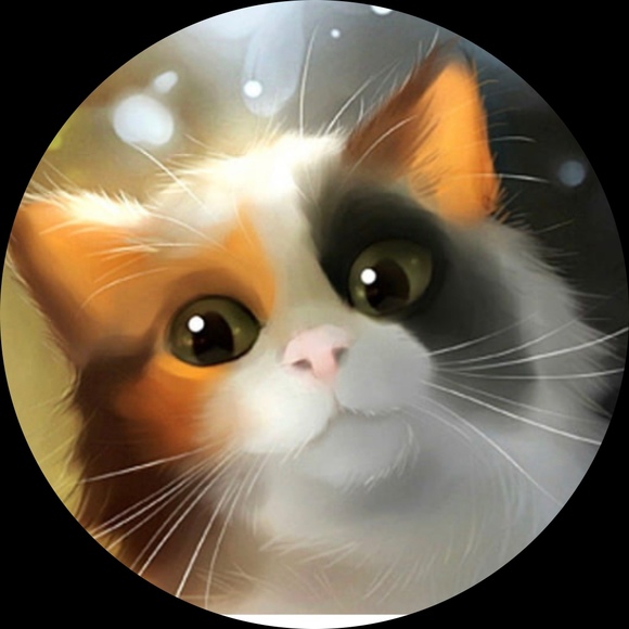 zodiacat66